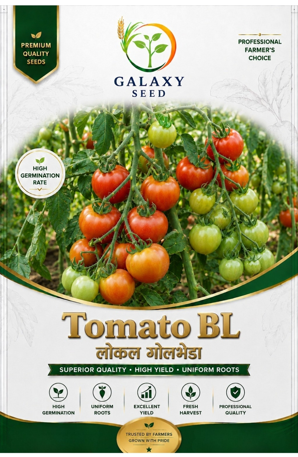 Tomato BL (BL-410) – Open Pollinated Tomato for Nepal Farmers